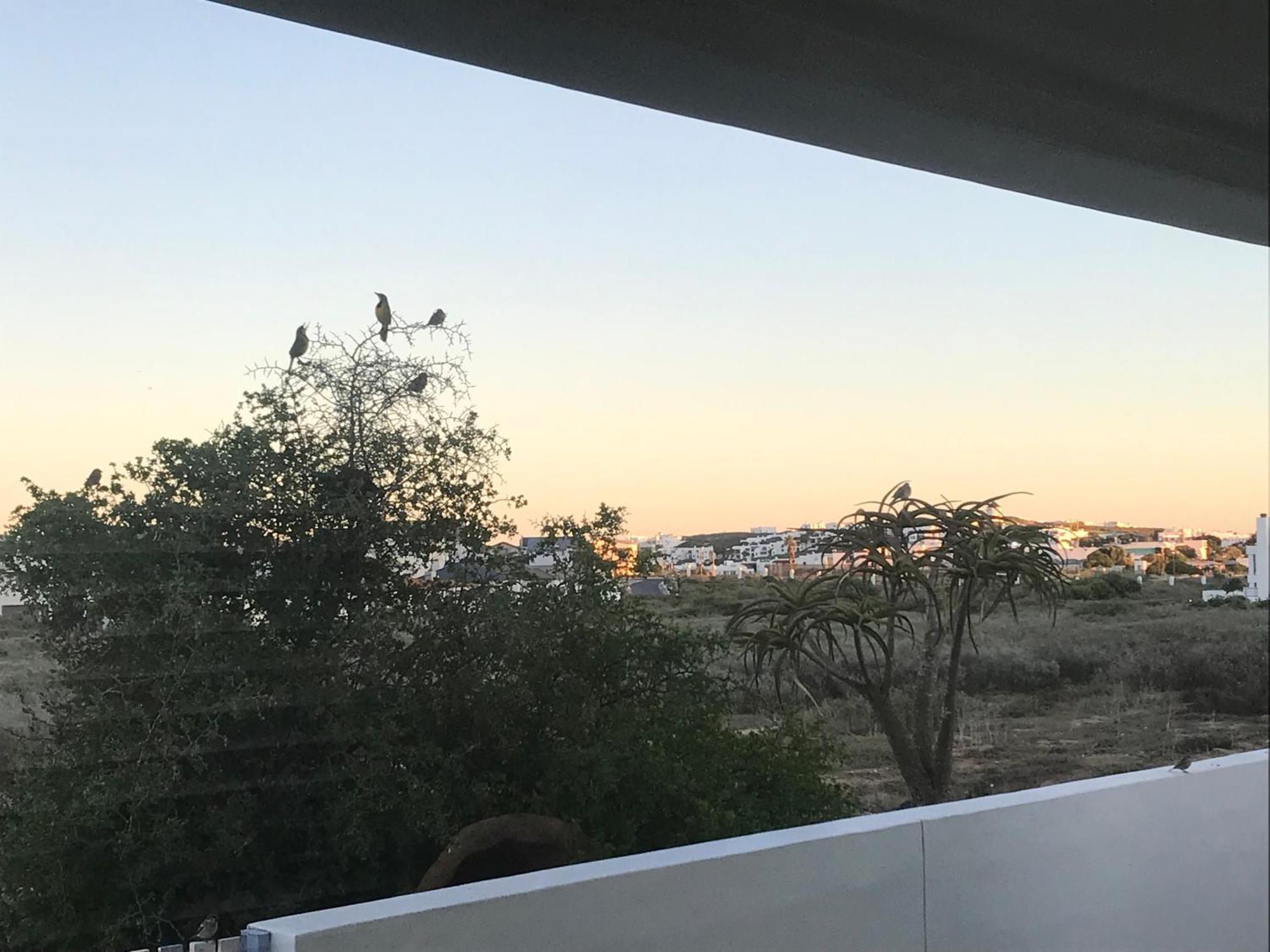 Perfect 10 - 10 To 13 Sleeper Luxury Holiday Home Breakage Deposit Of R2500 Per Weekend Lease لانجيبان المظهر الخارجي الصورة