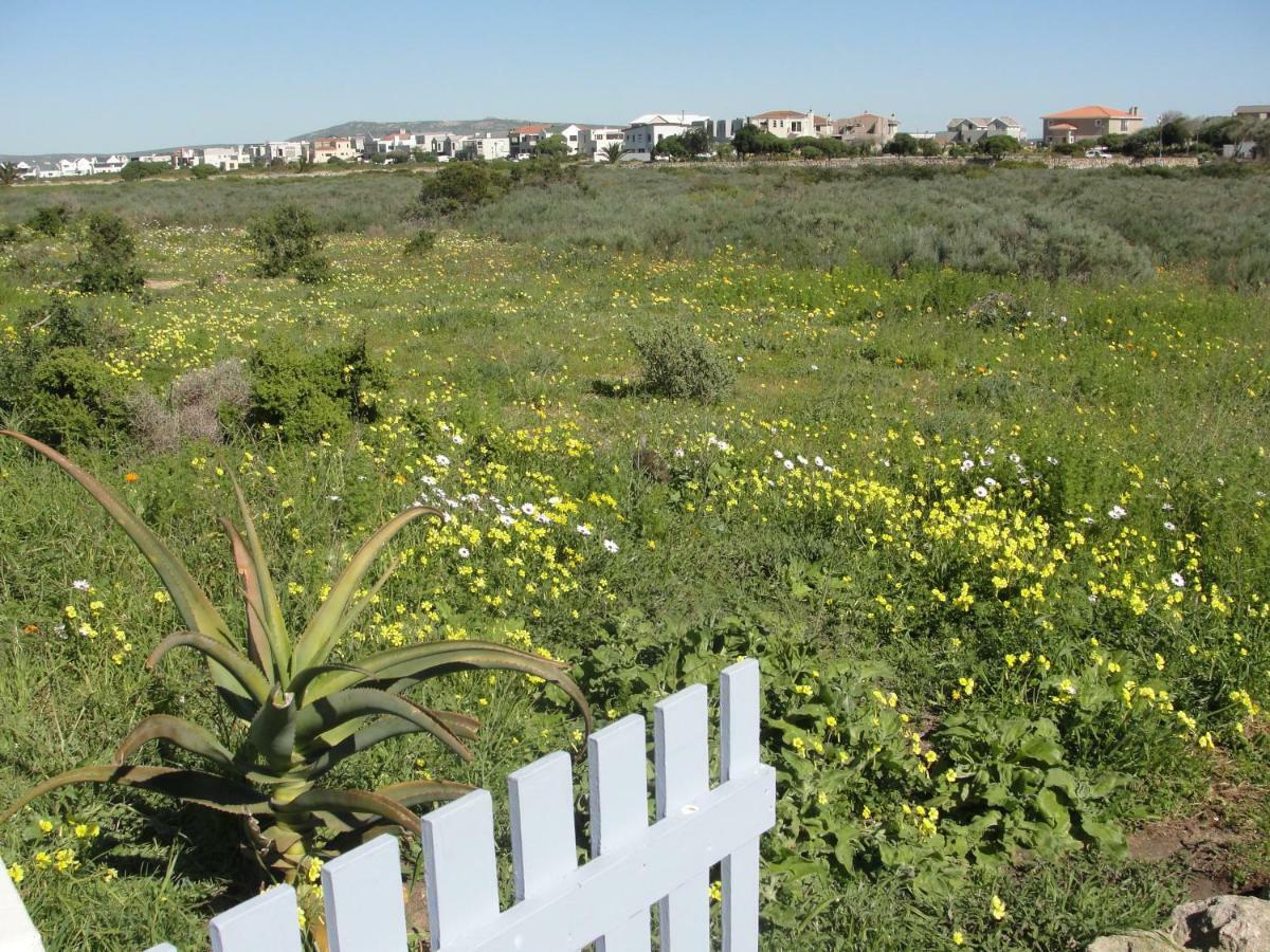 Perfect 10 - 10 To 13 Sleeper Luxury Holiday Home Breakage Deposit Of R2500 Per Weekend Lease لانجيبان المظهر الخارجي الصورة